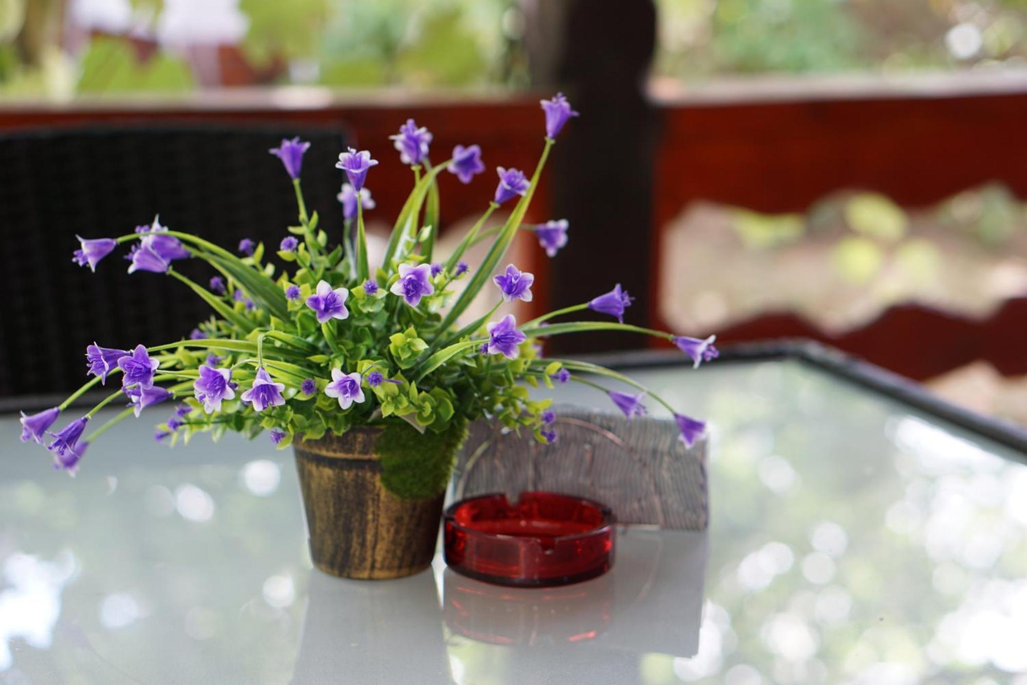 Villa Hanna'S Garden - Mintia Bagian luar foto