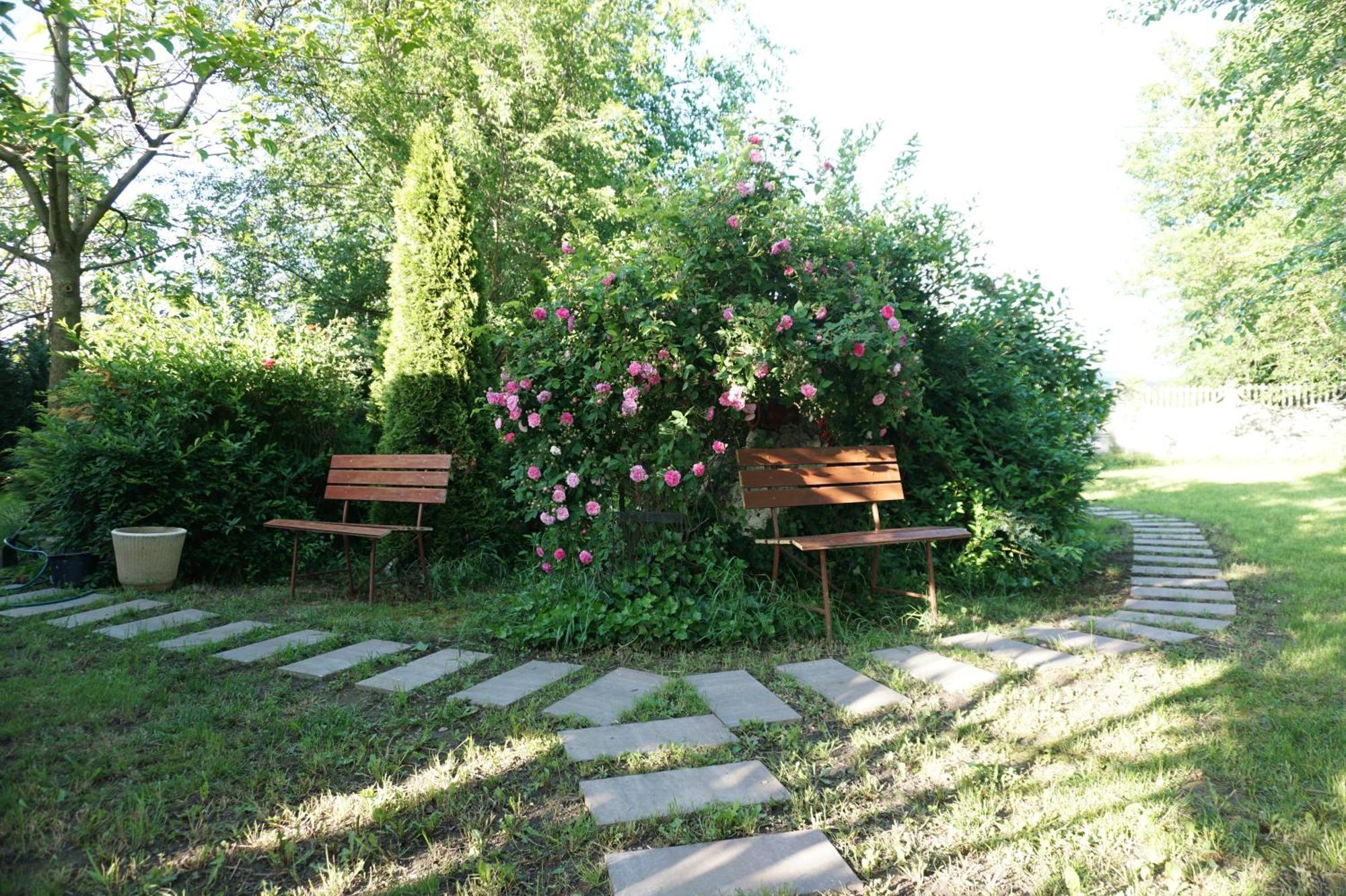 Villa Hanna'S Garden - Mintia Bagian luar foto